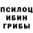 Галлюциногенные грибы Psilocybine cubensis Sohn DesWolfes
