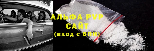 ПСИЛОЦИБИНОВЫЕ ГРИБЫ Горняк