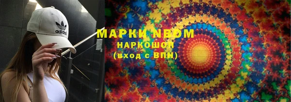 ПСИЛОЦИБИНОВЫЕ ГРИБЫ Горняк