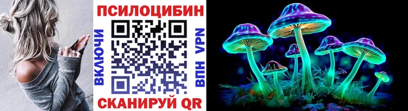 Купить где Щёкино Галлюциногенные грибы Psilocybe